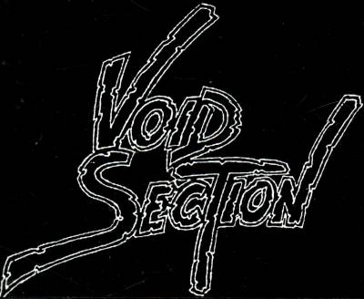 logo Void Section
